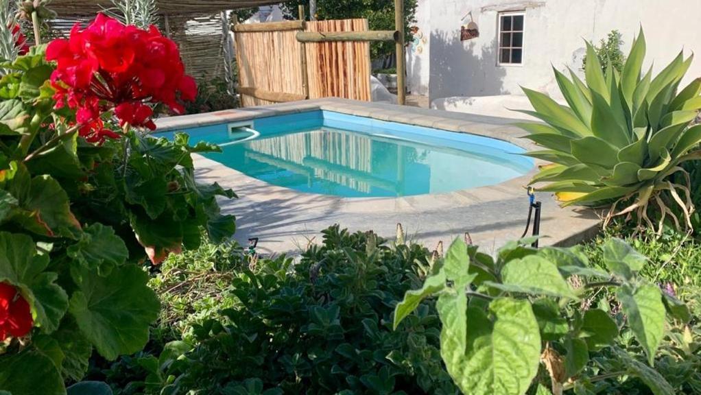 Ta Mala'S Cottage Prince Albert Bagian luar foto