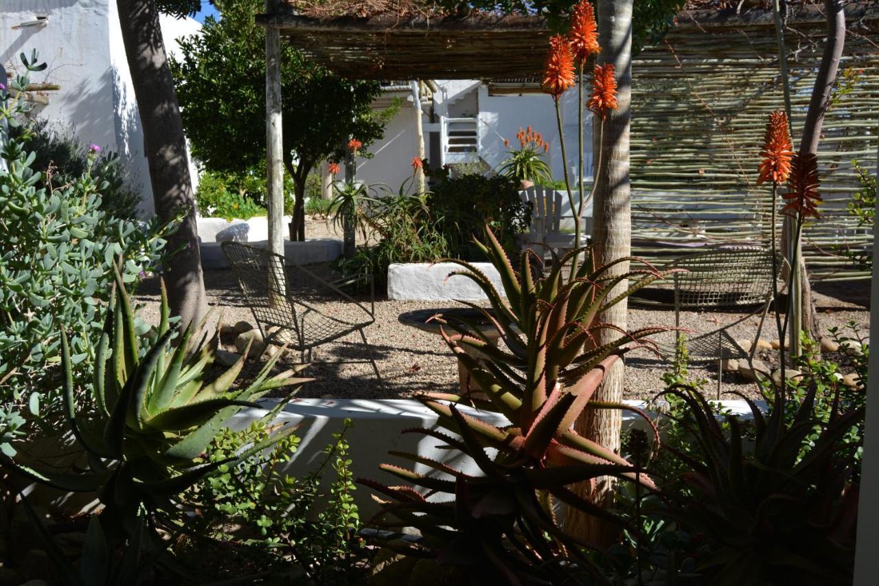 Ta Mala'S Cottage Prince Albert Bagian luar foto