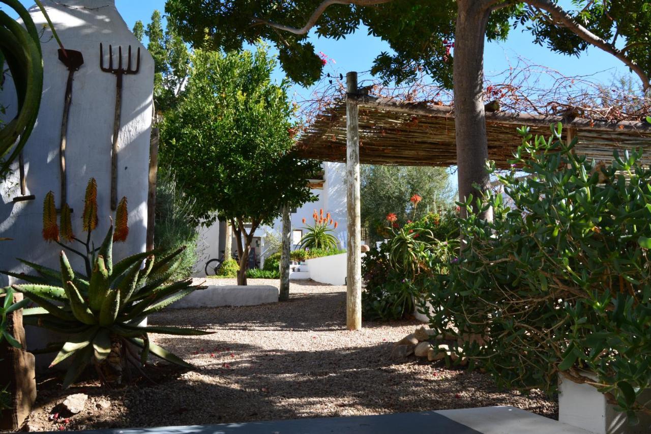 Ta Mala'S Cottage Prince Albert Bagian luar foto